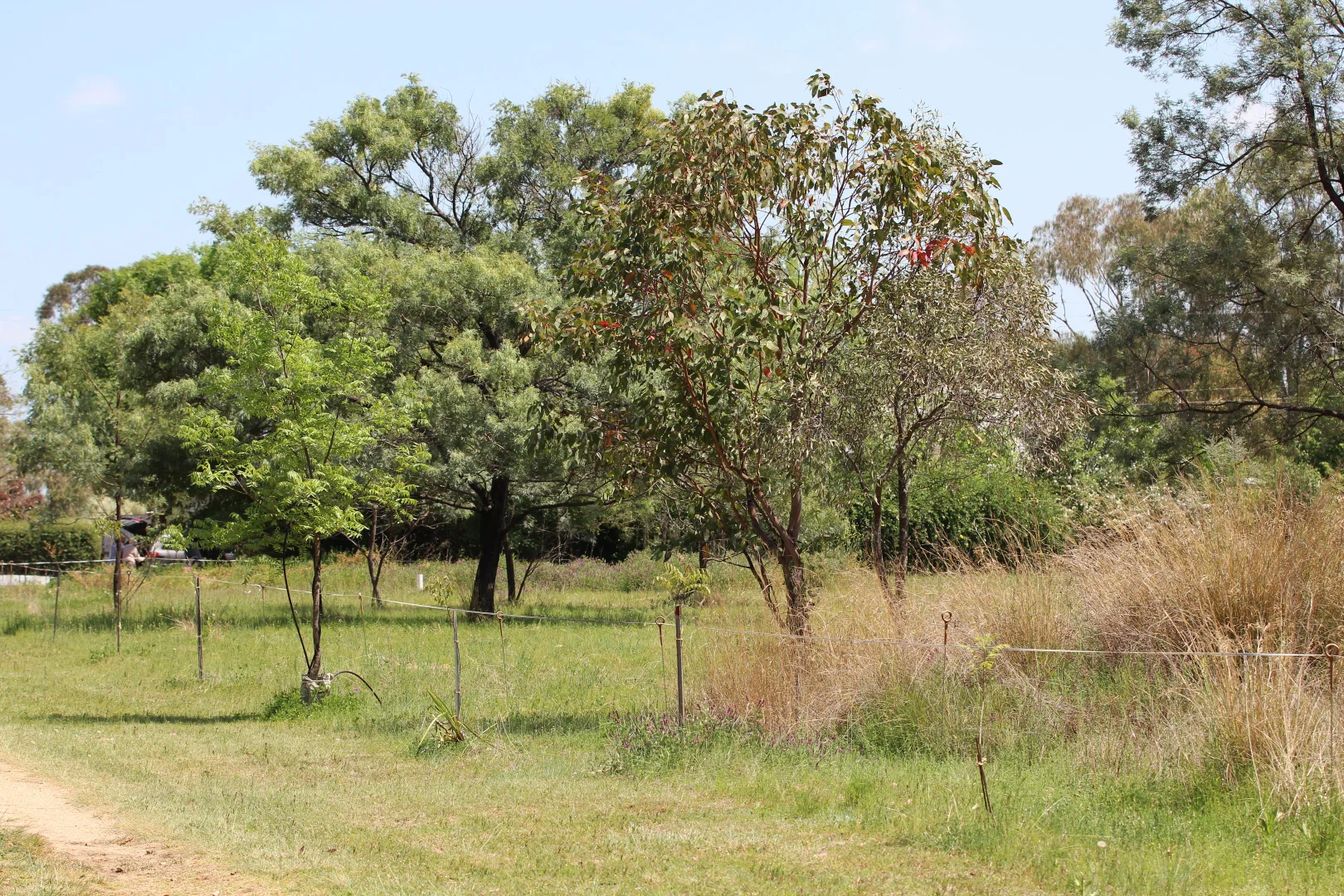 Additional image 29 of 121 Orchard Place, Inverell NSW 2360