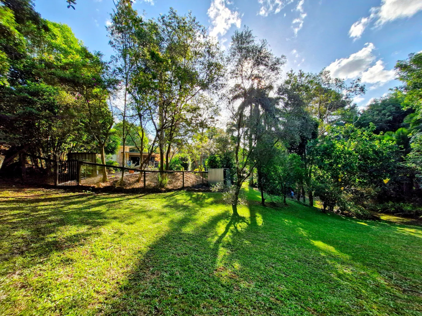 Additional image 9 of 279 DIDDILLIBAH ROAD, Diddillibah QLD 4559