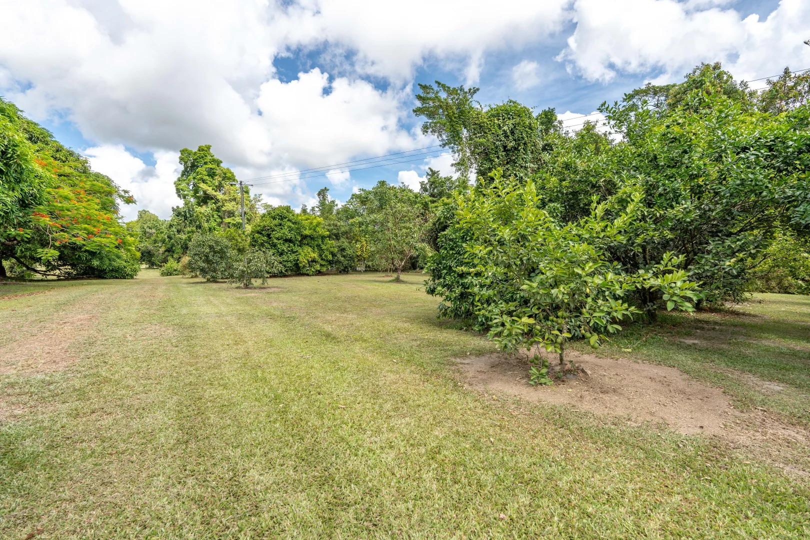 Additional image 35 of 39 O'Hanlon Rd, Feluga QLD 4854