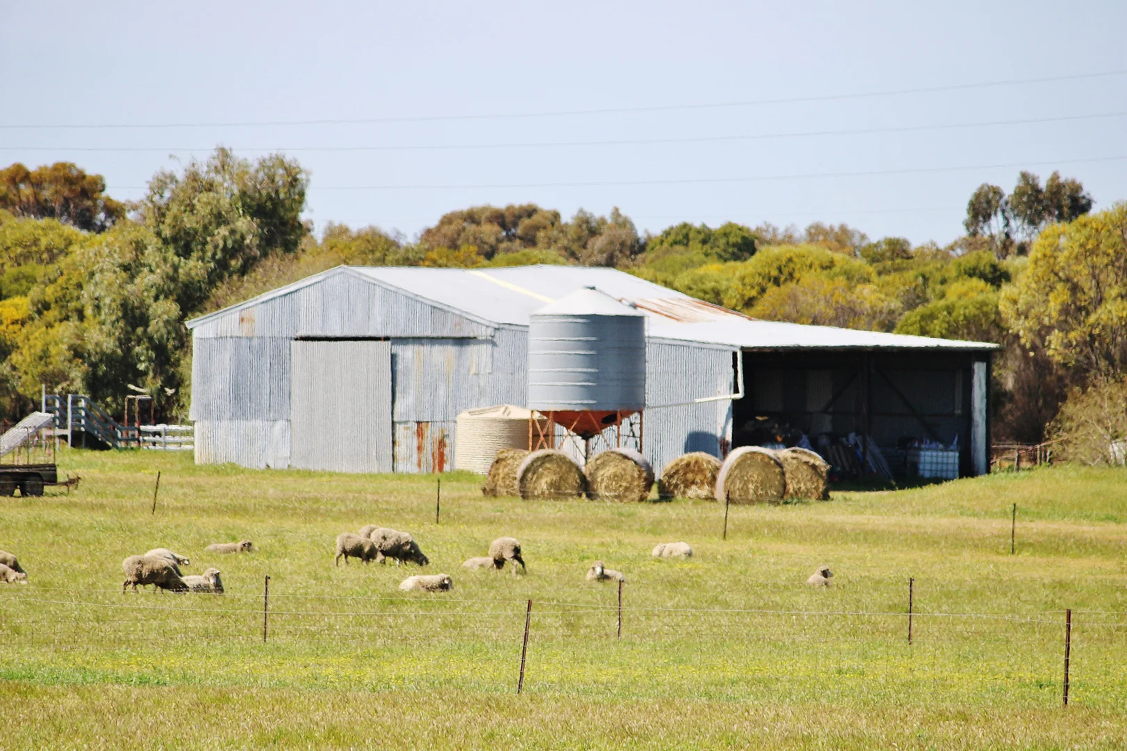 Additional image 2 of 256 WAGIN-DUMBLEYUNG ROAD, Wagin WA 6315
