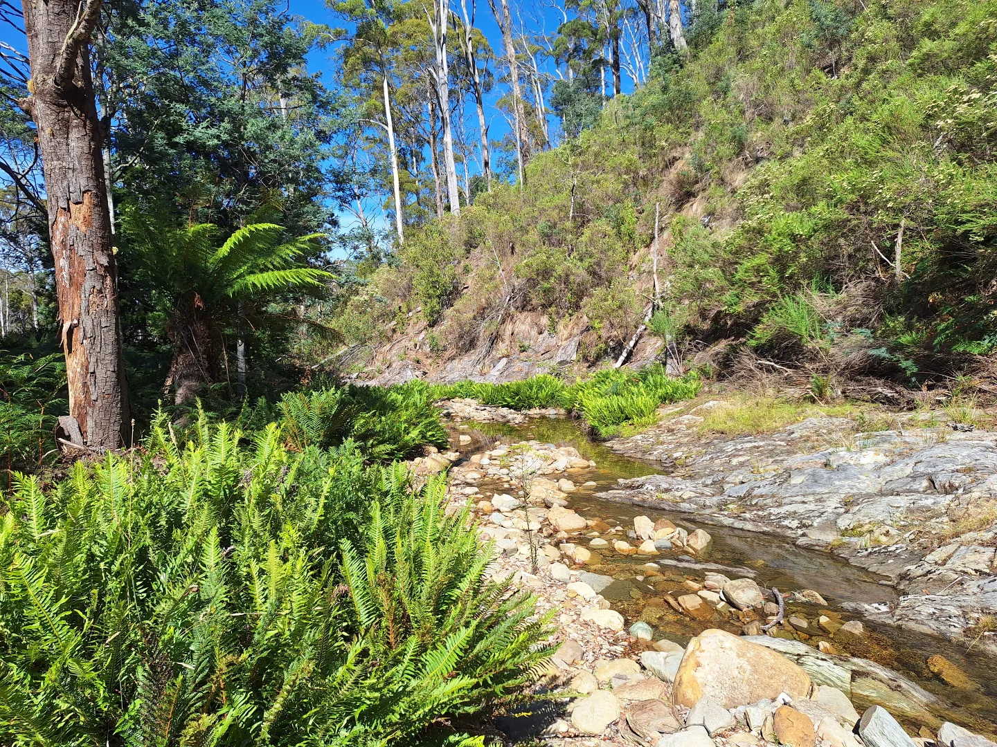 Additional image 9 of 141 Young Street, Mangana TAS 7214