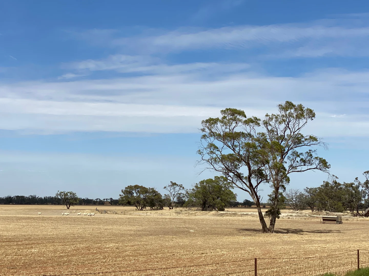 Additional image 2 of - Henty Highway, Hopetoun VIC 3396