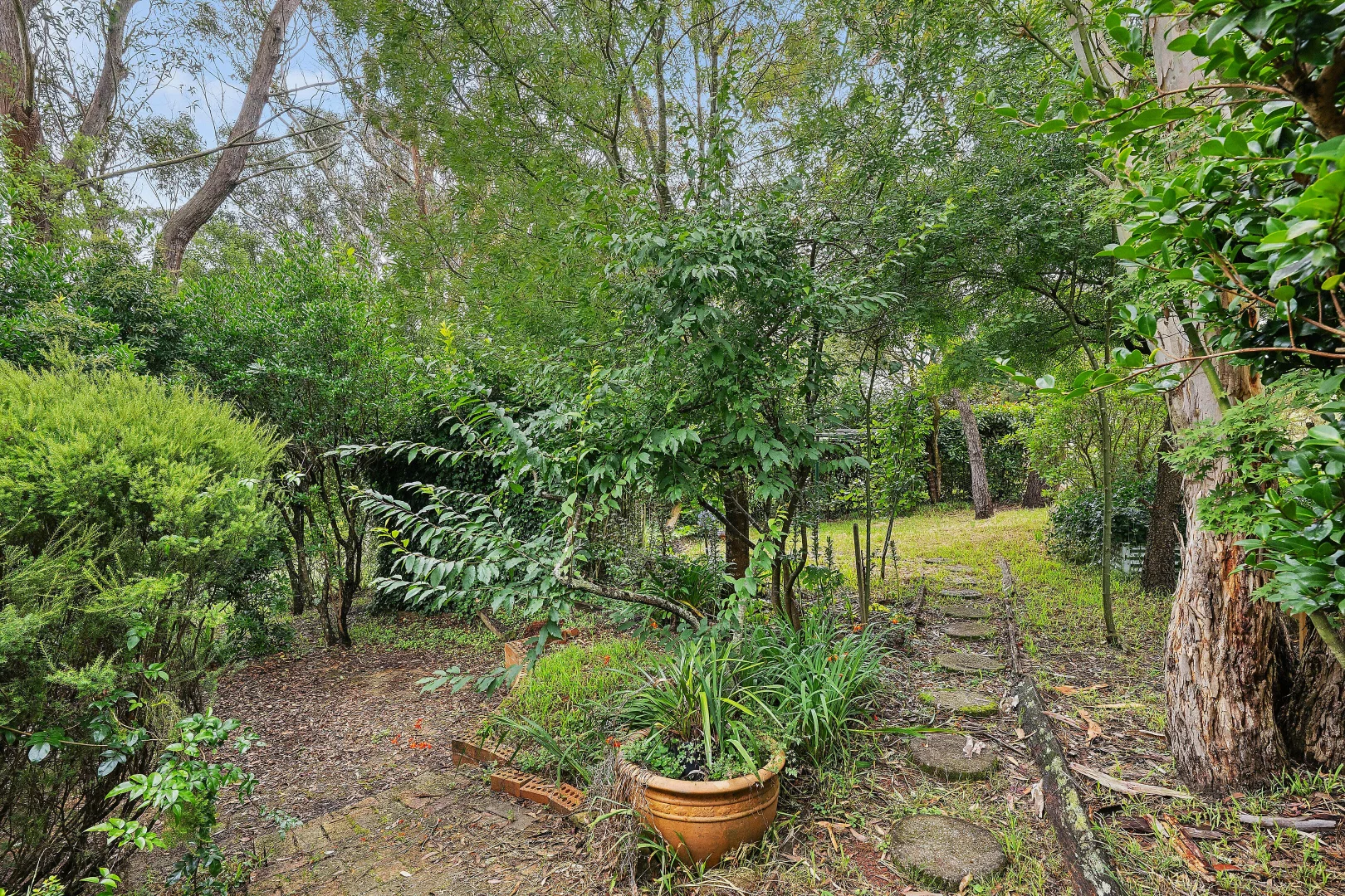 Additional image 12 of 71 Victoria Street, Mount Victoria NSW 2786