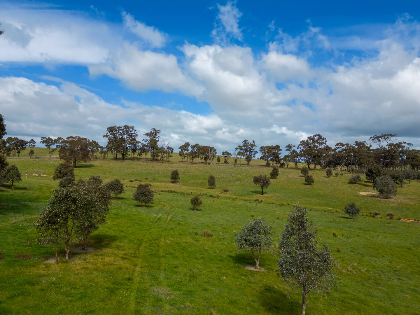 Additional image 11 of 574 Mia Mia Derrinal Road, Heathcote VIC 3523
