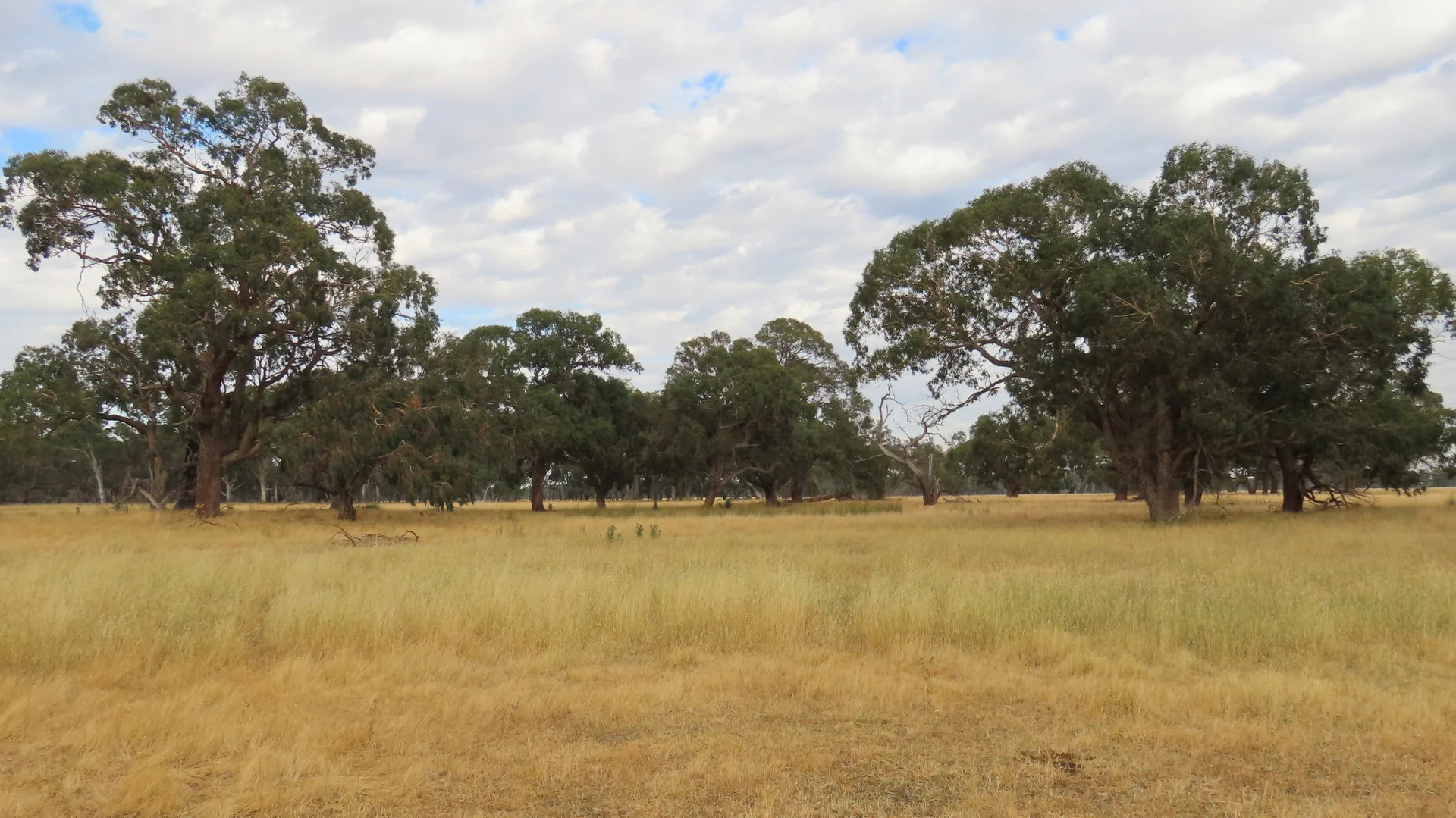 Additional image 22 of 110 Coote Rd, Moerlong SA 5278