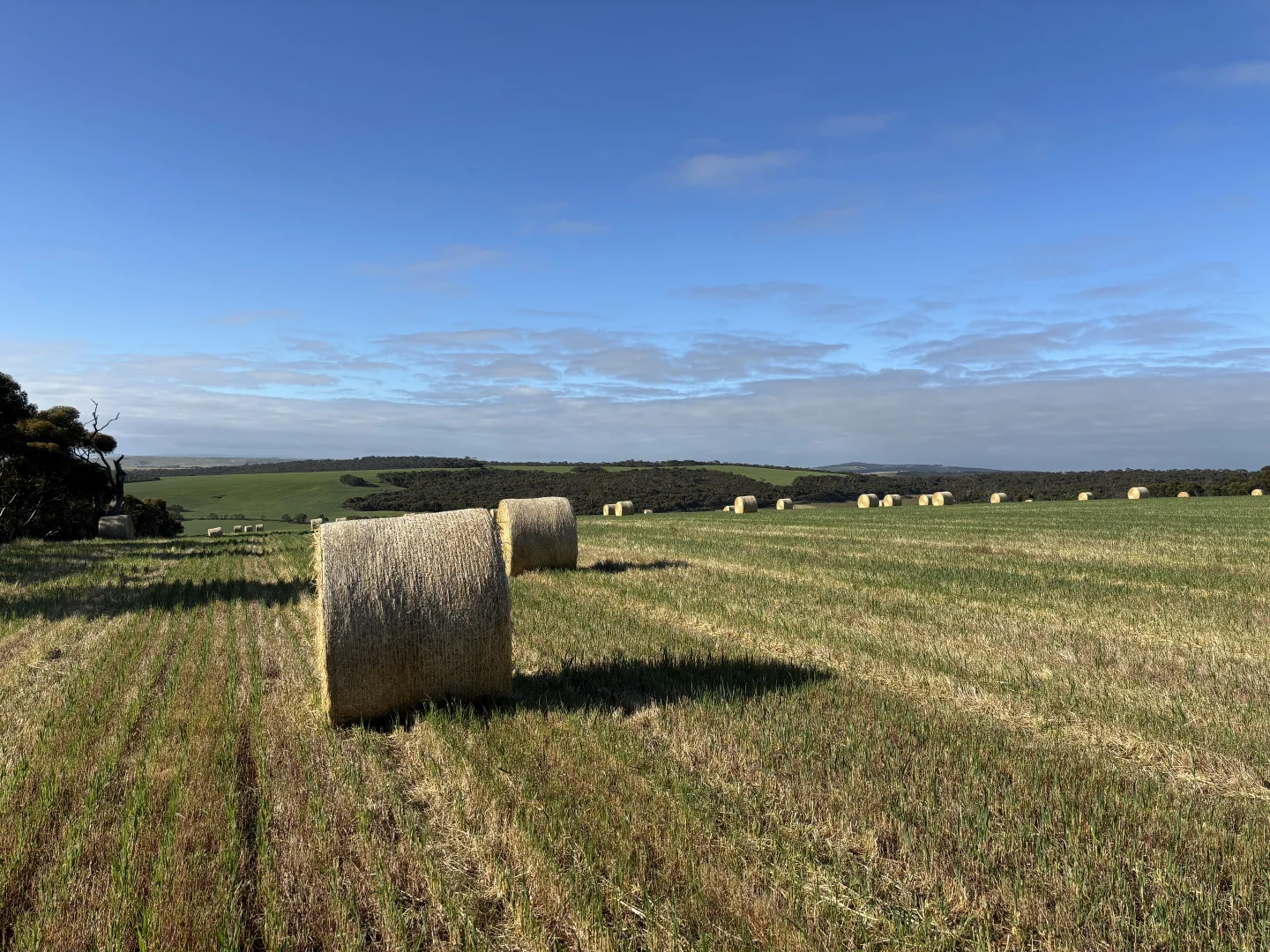 Additional image 18 of 251 Reservoir Drive, Whites Flat SA 5607