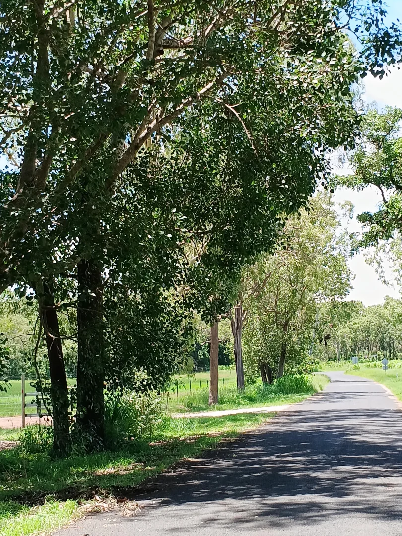 Additional image 10 of Lot 45 Jensens Crossing Rd, Cooktown QLD 4895