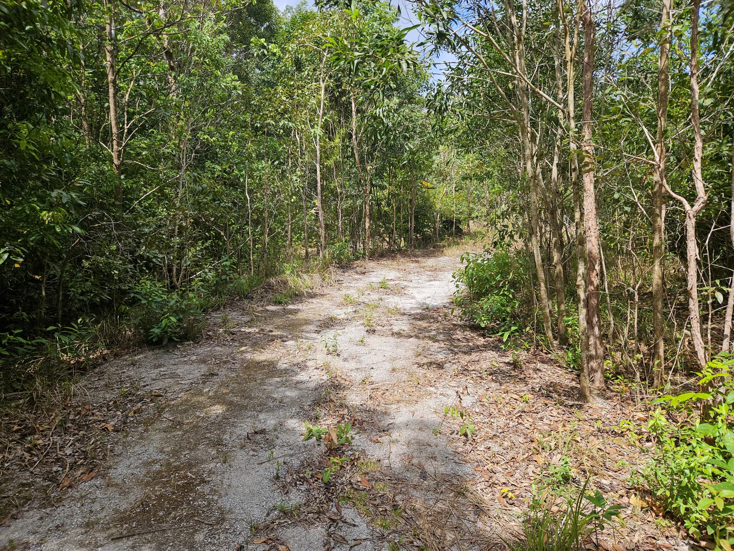 Additional image 4 of 2401 Rossville Bloomfield Road, Bloomfield QLD 4895