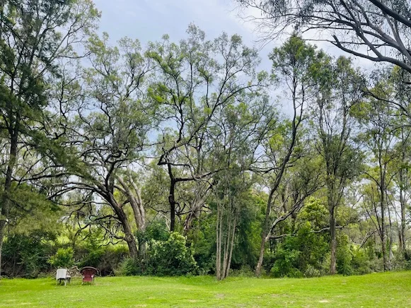 Additional image 21 of 40 Koala Crescent, Coonabarabran NSW 2357