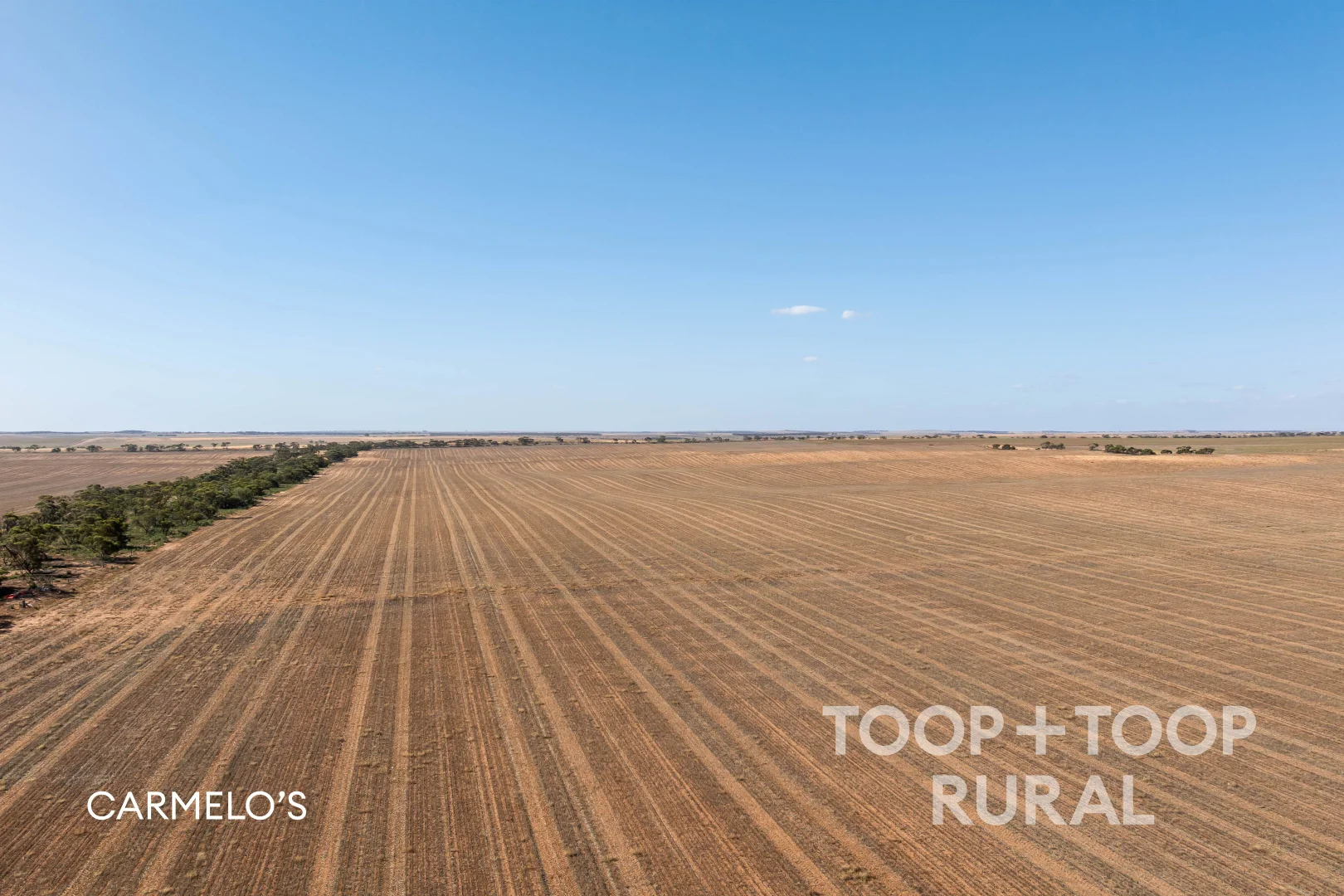 Additional image 5 of 833 Walshs Bore Road, Copeville SA 5308
