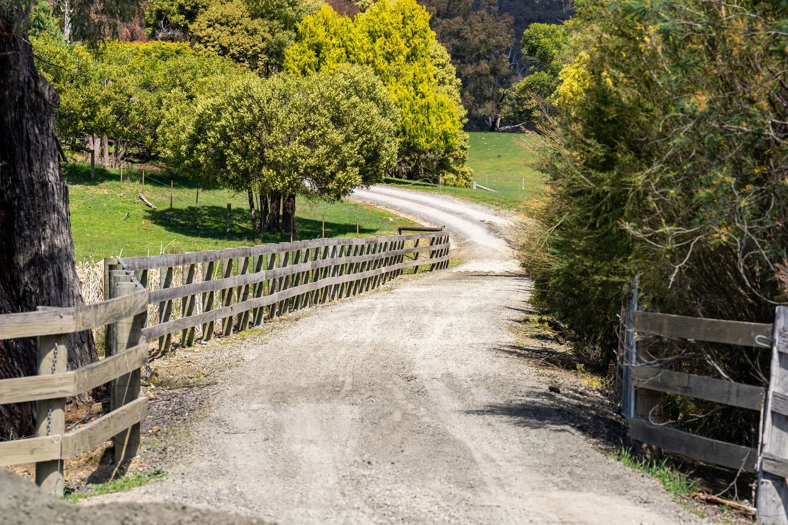 Additional image 6 of 682 Cathedral Lane, Taggerty VIC 3714