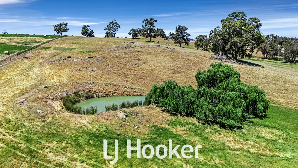 Additional image 16 of 1 on DP 426021 Bridgetown - Boyup Brook Road, Boyup Brook WA 6244