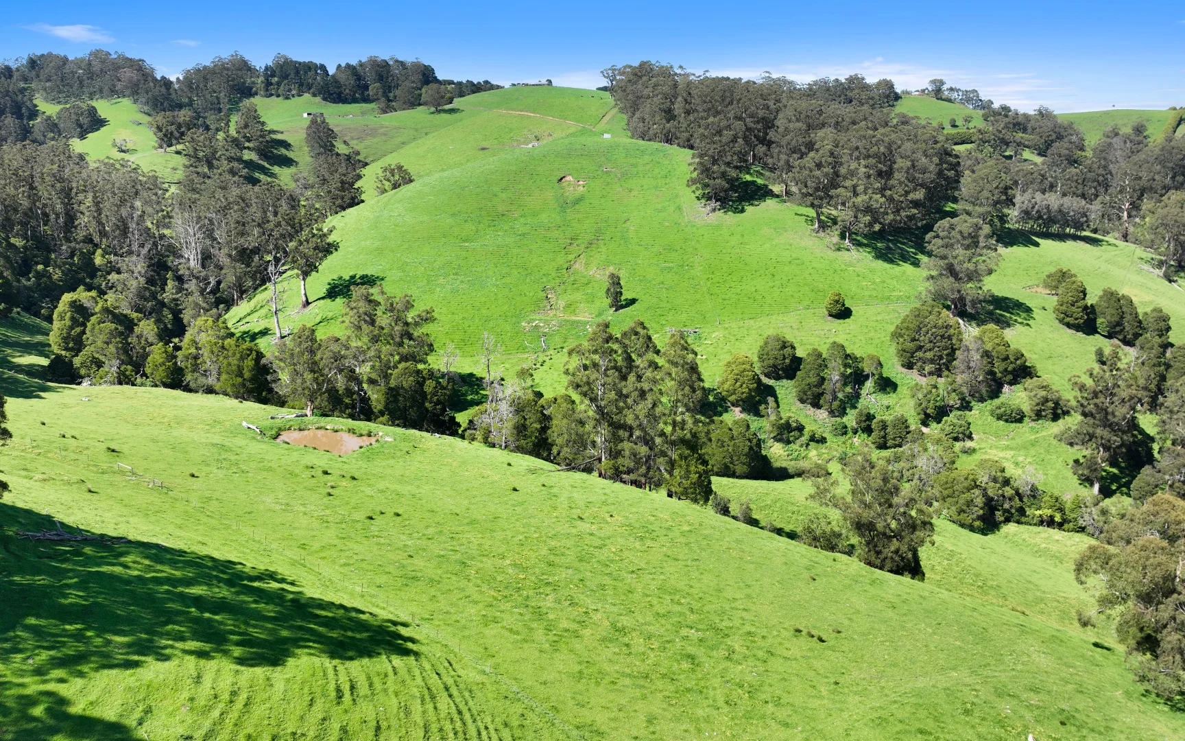 Additional image 22 of 196 Peters Road, Ellinbank VIC 3821