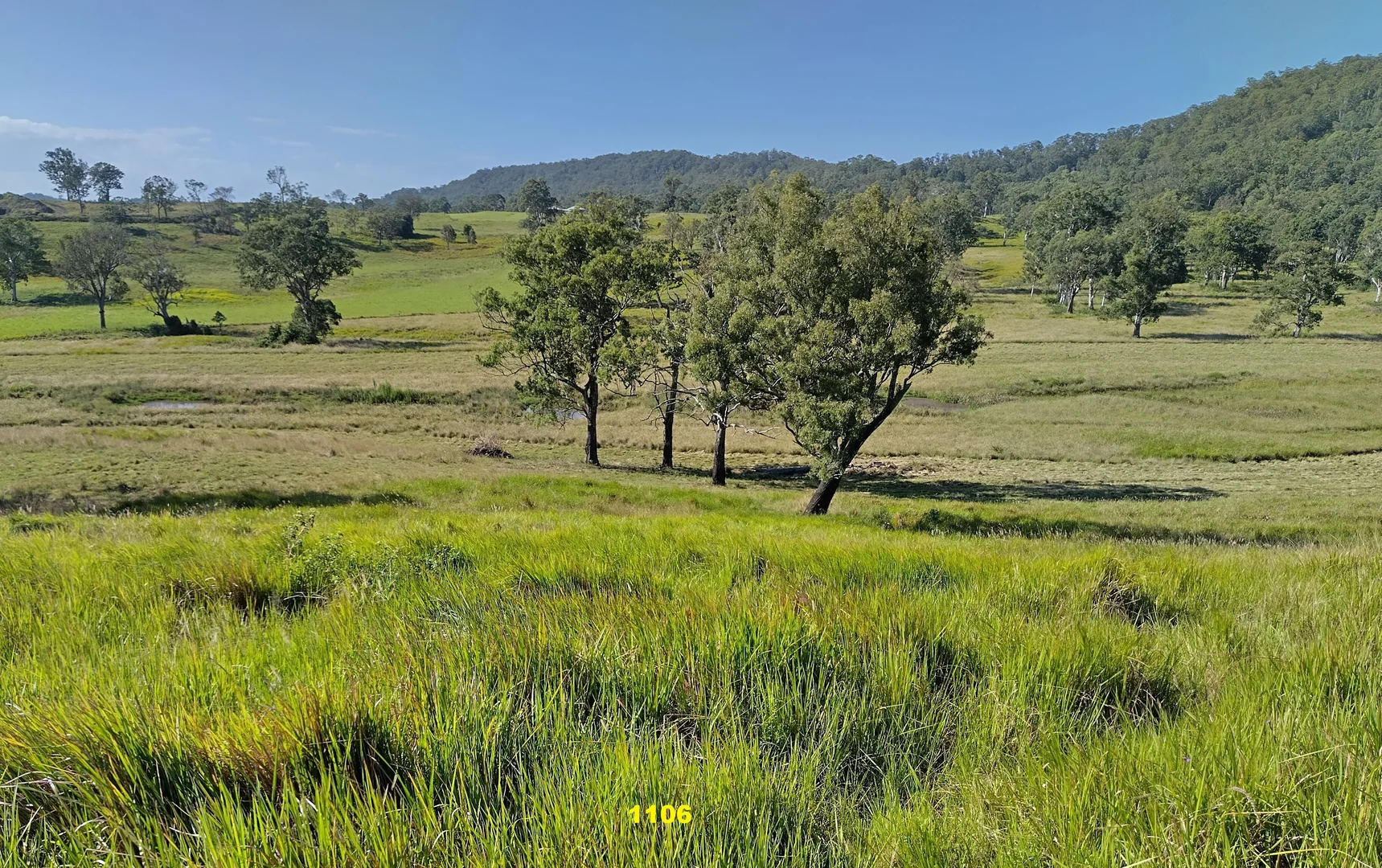 Additional image 22 of 1106 Naughtons Gap Road, Bentley NSW 2480