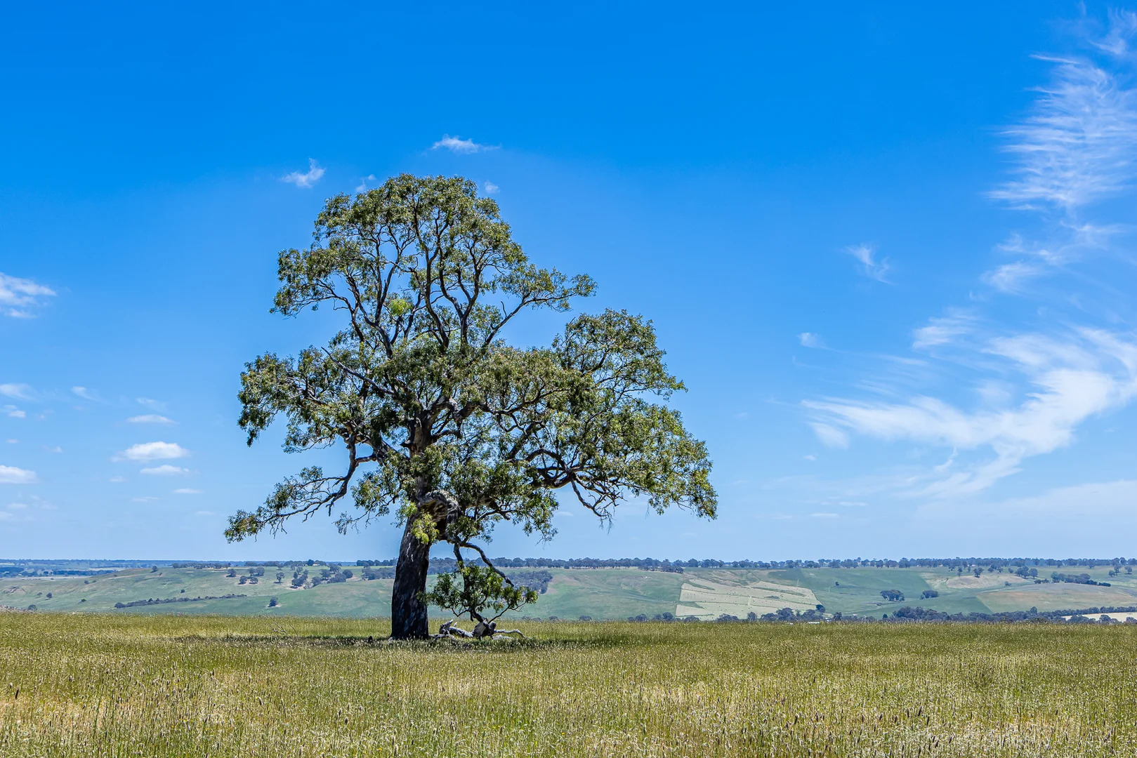 Additional image 6 of 41 Uptons Road, Wando Vale VIC 3312