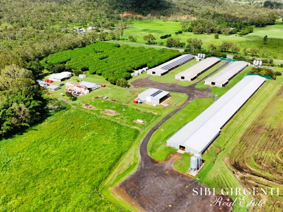 Additional image 3 of 1004 Bilwon Road, Biboohra QLD 4880