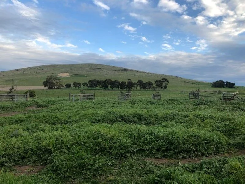 Additional image 9 of 31B/259 Greenoch Road, Red Lion VIC 3371