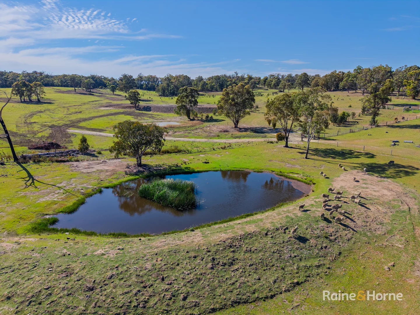 Additional image 9 of 470 Silent Grove Road, Torrington NSW 2371