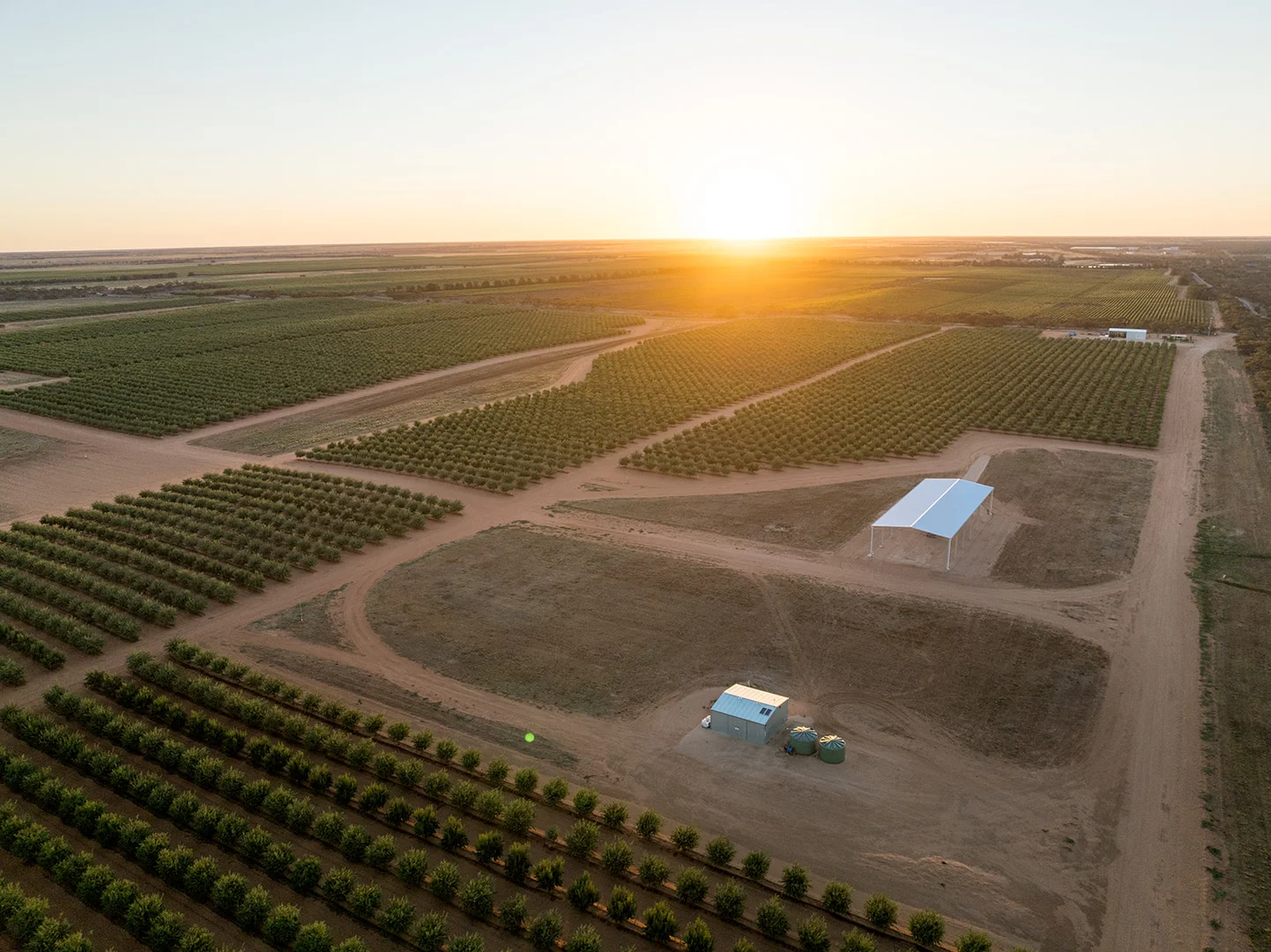 Additional image 8 of 971 Wilga Road, Red Cliffs VIC 3496