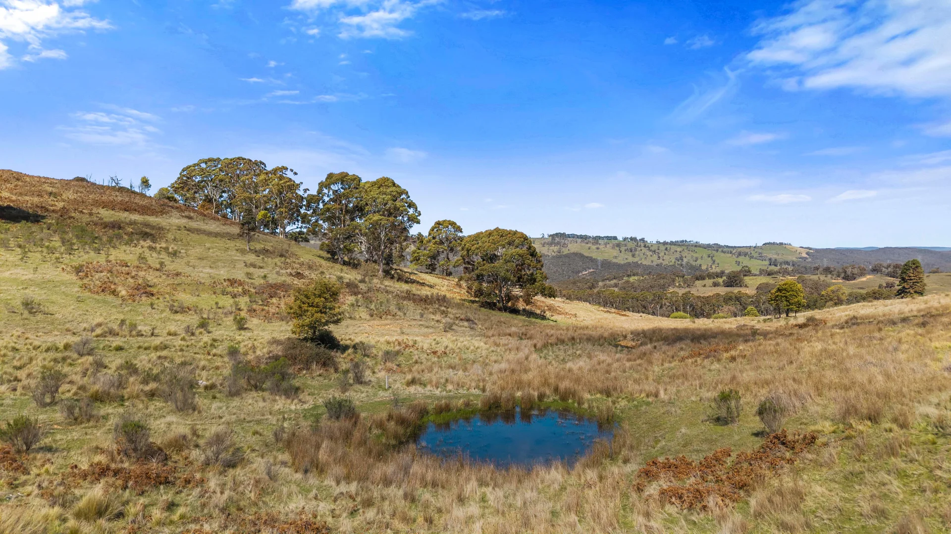 Additional image 19 of 5733-5734 Abercrombie Road, Paling Yards NSW 2580