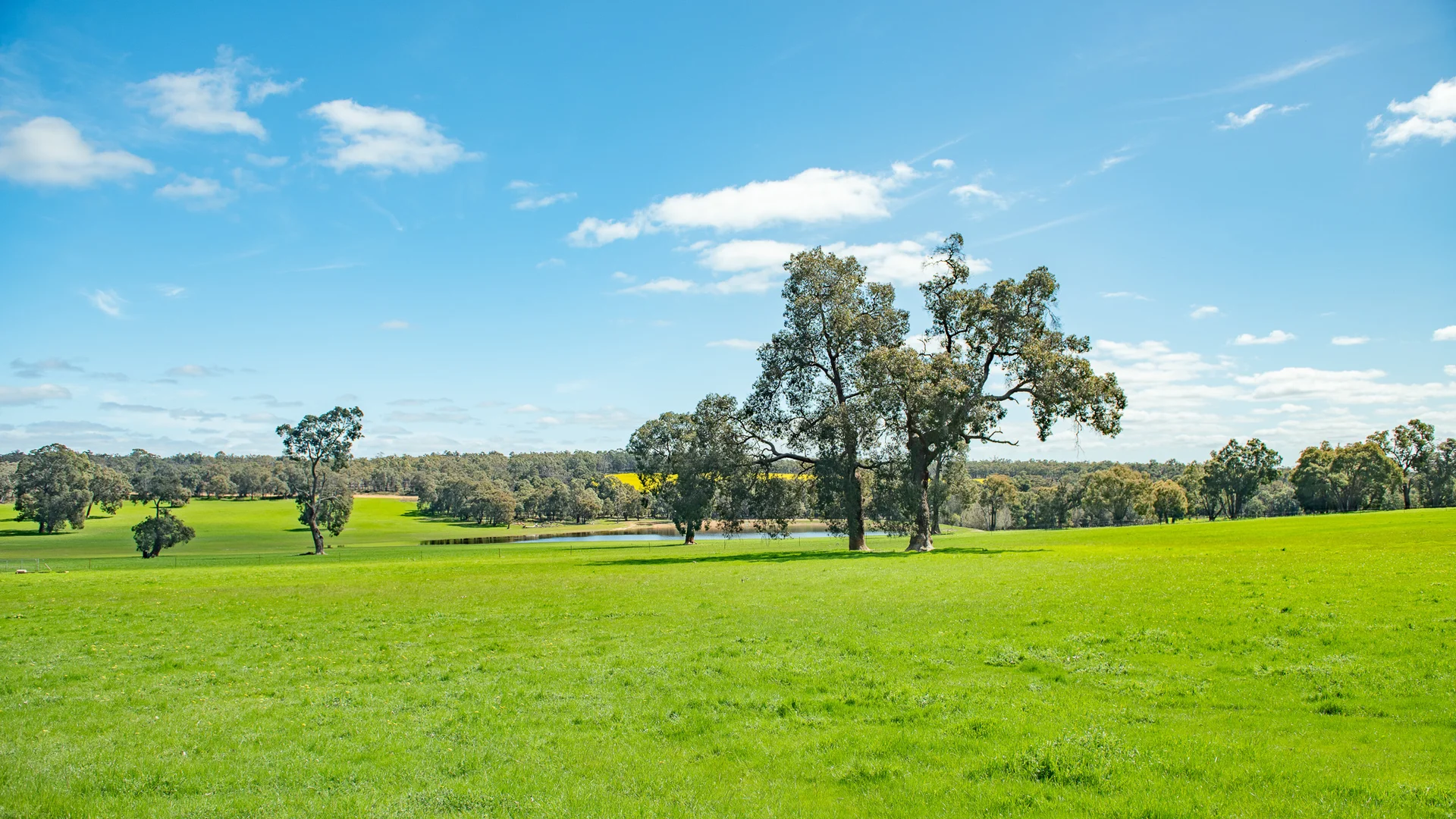 Additional image 28 of The Lakes, 598 Wariin Road, Woottating WA 6562