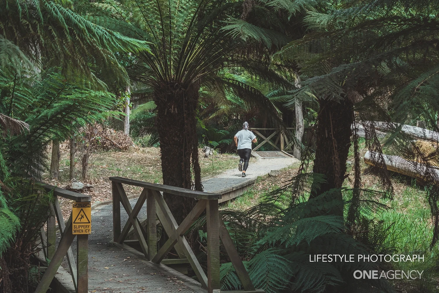 Additional image 34 of 6 Sassafras Crescent, Romaine TAS 7320