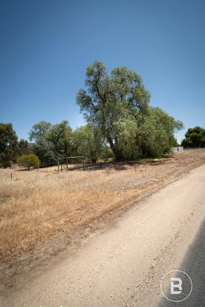 Additional image 6 of 585 Timor Road, Timor VIC 3465