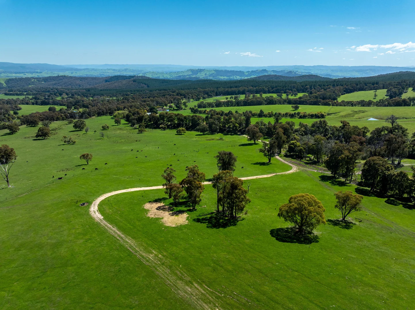 Additional image 18 of 682 Cathedral Lane, Taggerty VIC 3714