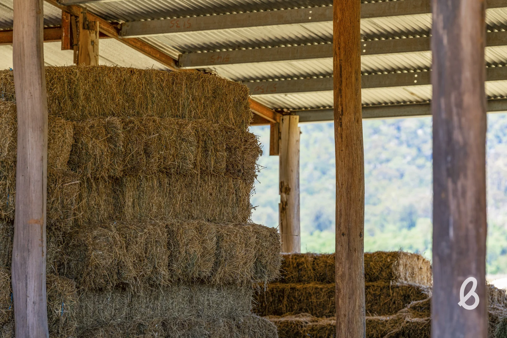 Additional image 20 of 562 Yarrawa Road, Yarrawa NSW 2328