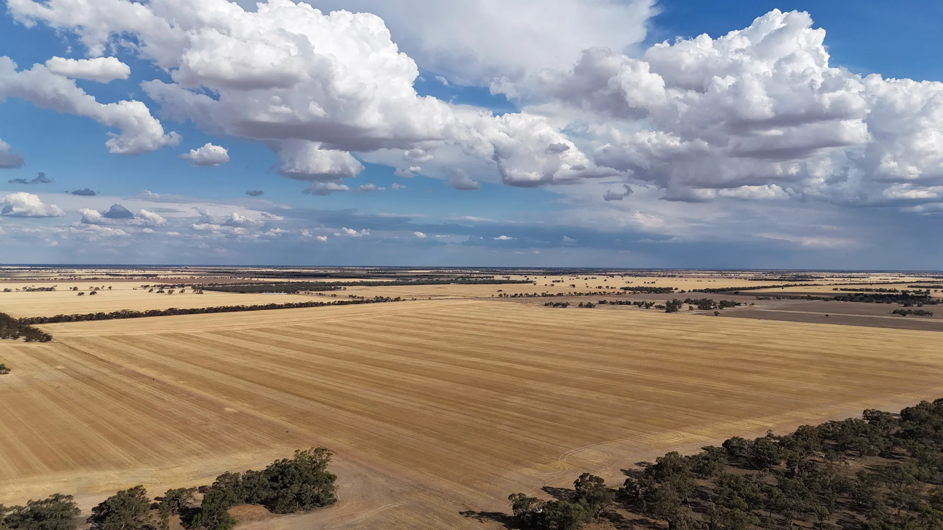 Additional image 3 of "McErvales" Culgoa-Ultima Road, Culgoa VIC 3530