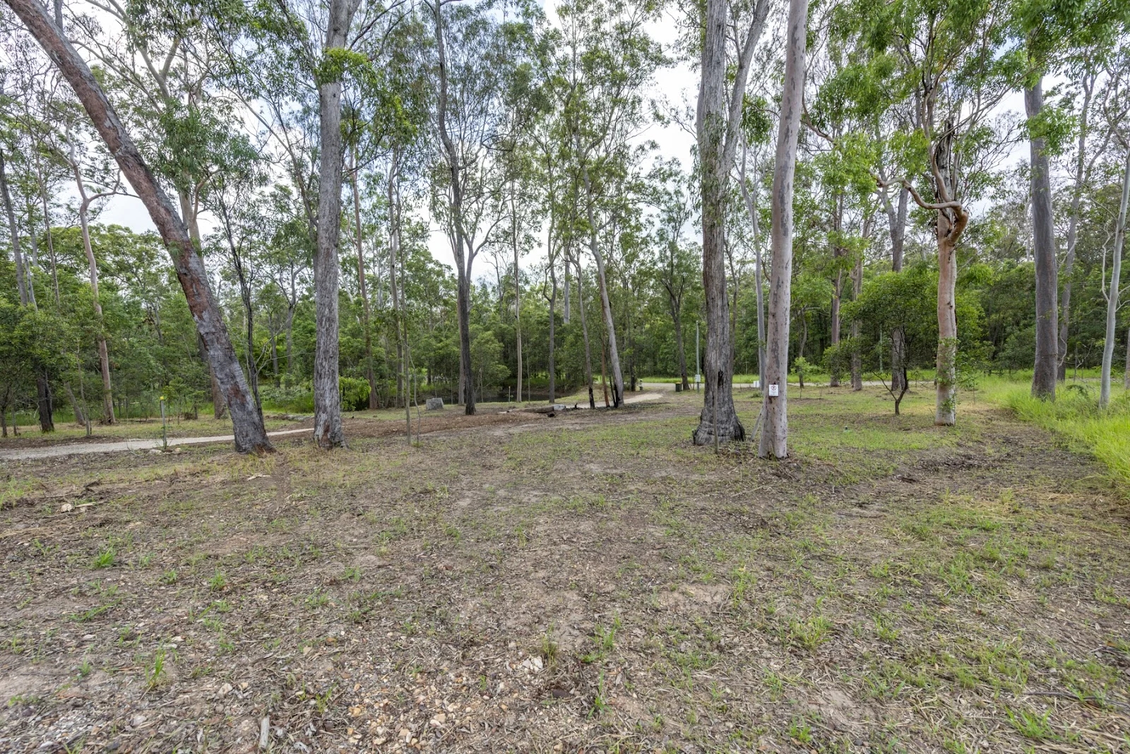Additional image 20 of 110 Arborthirty Road, Glenwood QLD 4570
