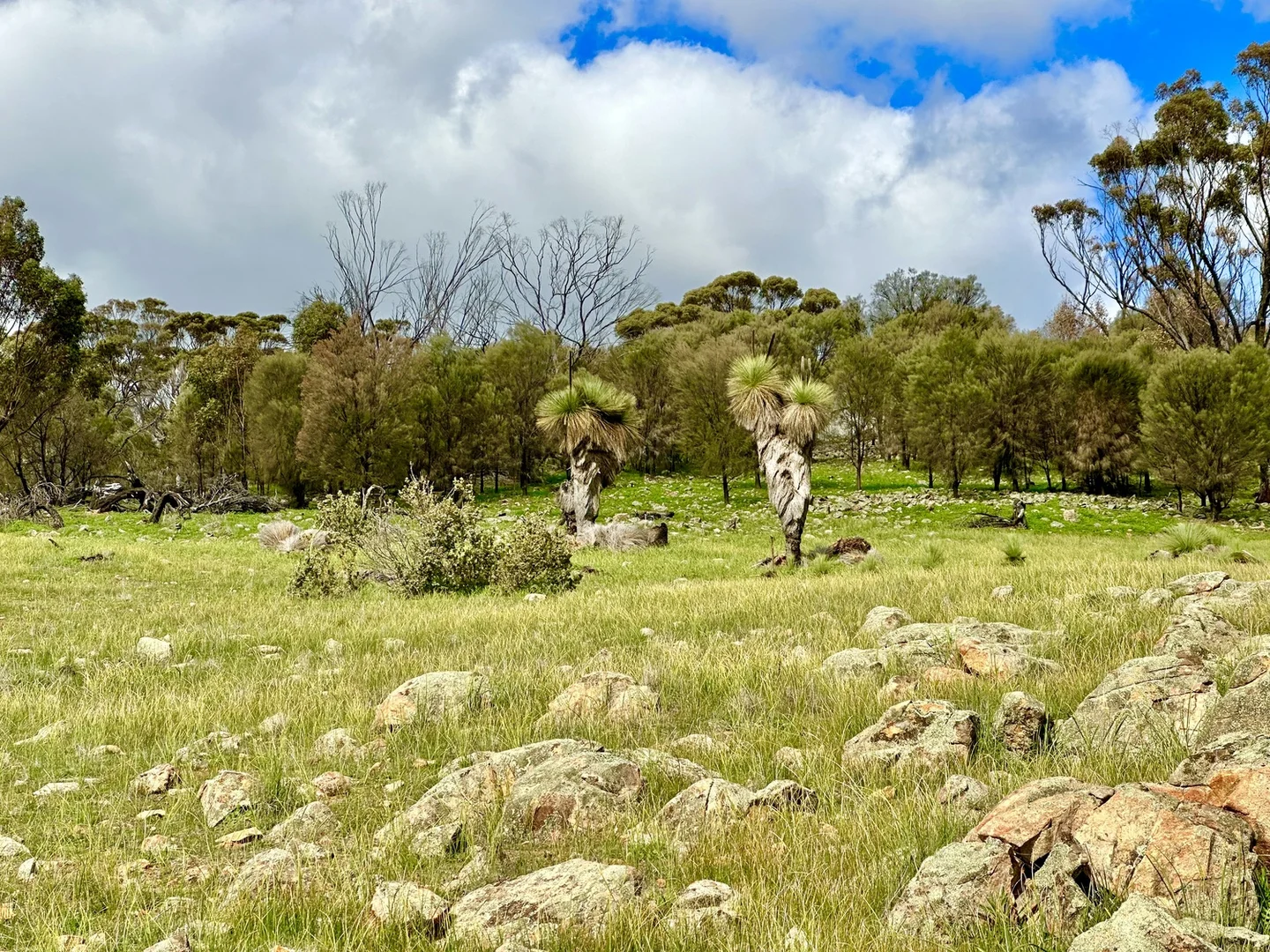 Additional image 34 of 787 Mokine Road, York WA 6302