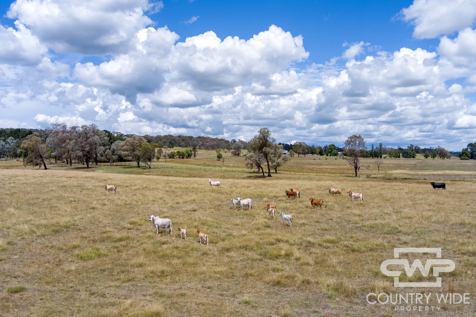 Additional image 31 of 1651 Shannon Vale Road, Shannon Vale NSW 2370