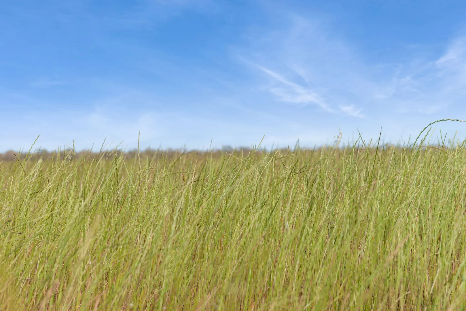 Additional image 7 of CA 15 & CA 16 Kellys Road, Kamarooka VIC 3570