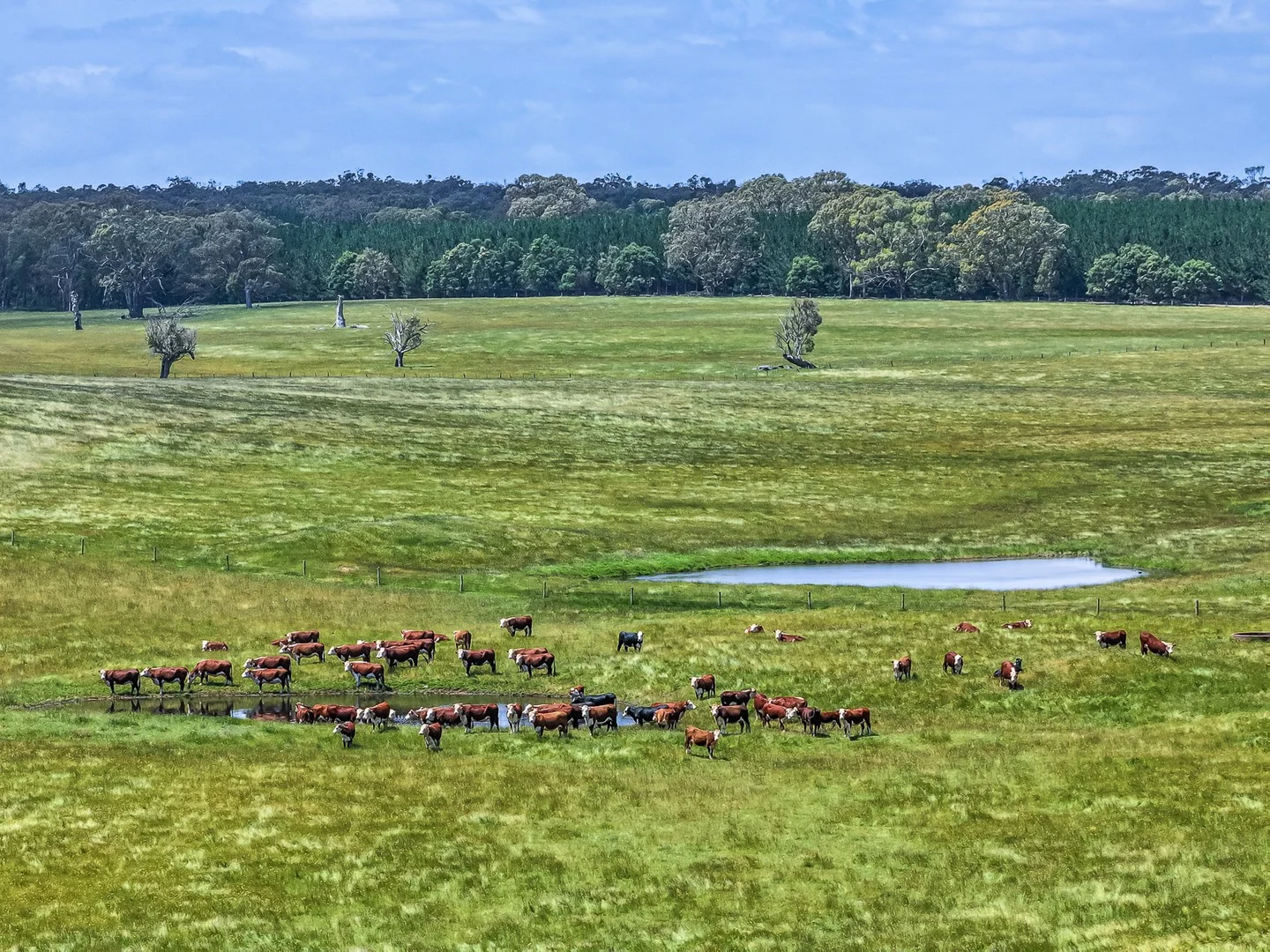 Additional image 3 of 1090 Six Chain Road, Killara VIC 3312
