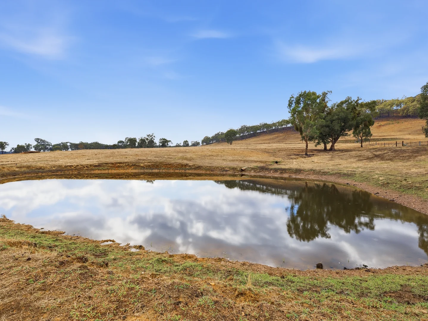 Additional image 24 of 45 Gibbs Lane, Moyhu VIC 3732