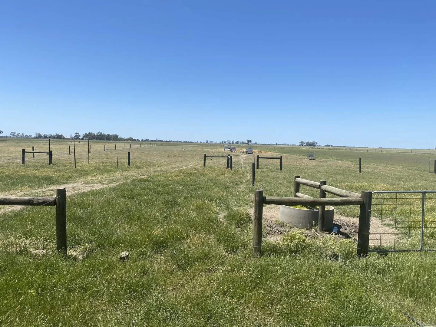 Additional image 8 of 1408 Kerang-Murrabit Road, Westby VIC 3579