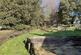 Additional image 11 of The Close, Whitsbury, Fordingbridge, Hampshire, SP6