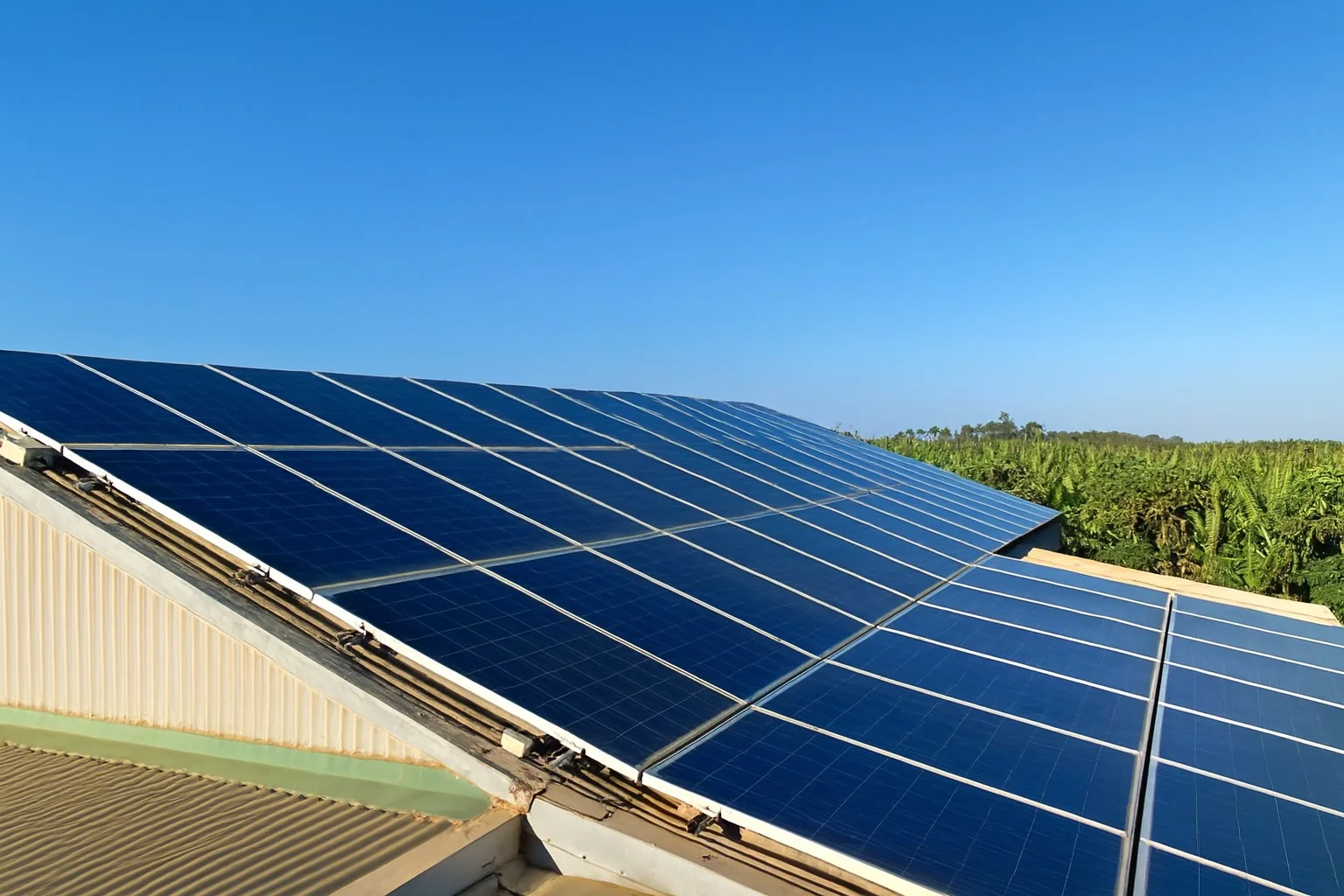 Additional image 37 of 600 South River Road, South Plantations WA 6701