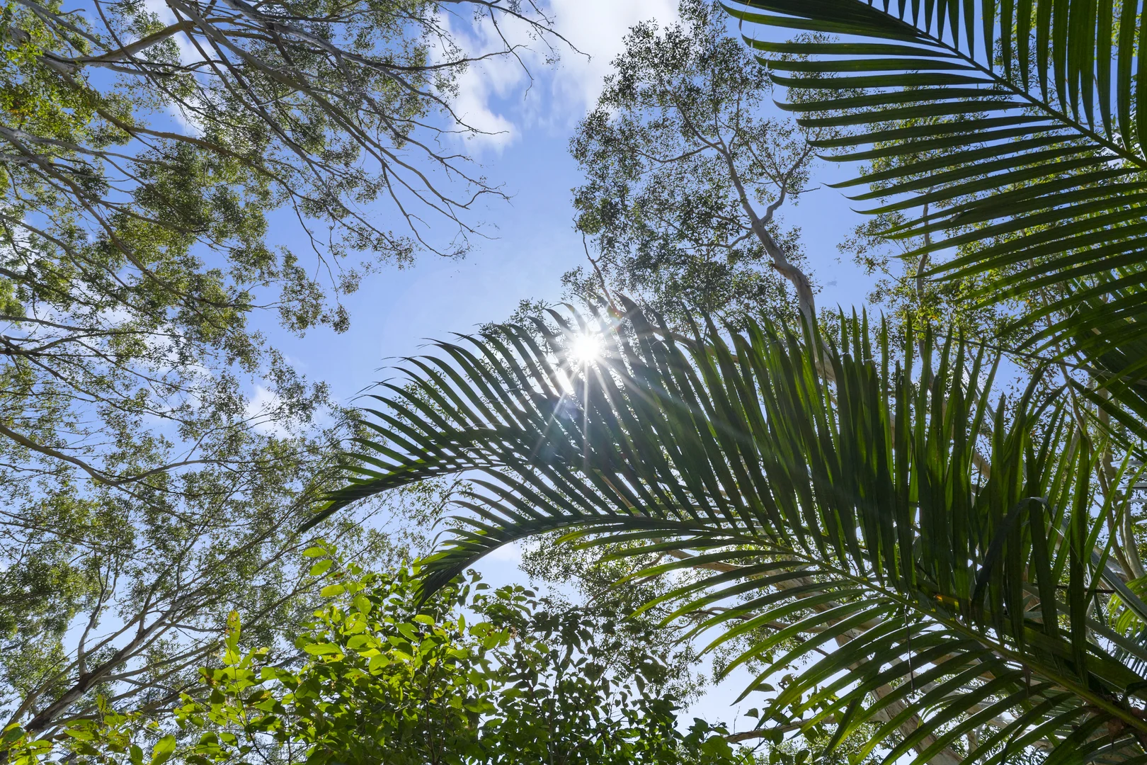 Additional image 22 of 144 Round Mountain Road, Round Mountain NSW 2484