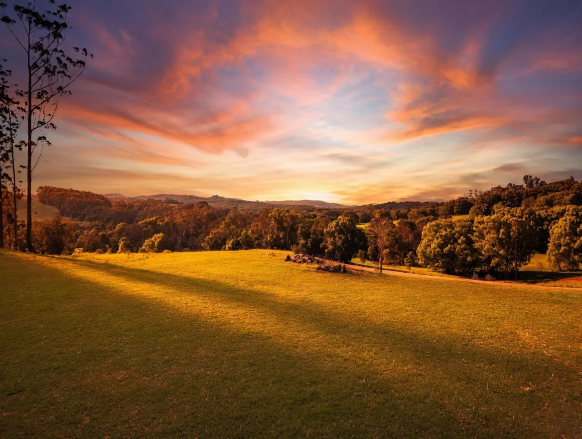 315 Coorabell Road, Coorabell NSW 2479