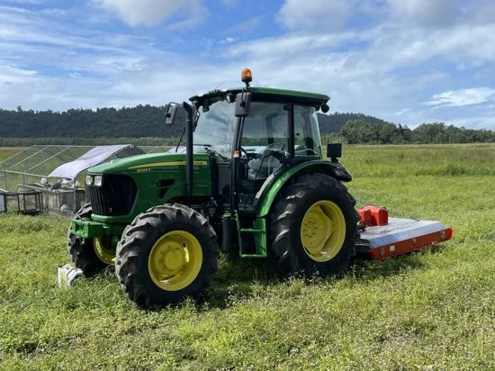 Additional image 33 of 21 Barbagallo Road, Aloomba QLD 4871