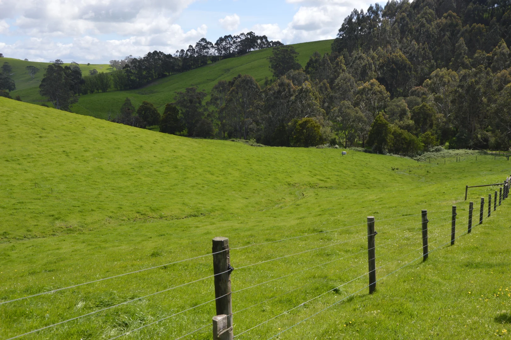 Additional image 23 of 59 Bellview Lane, Korumburra VIC 3950