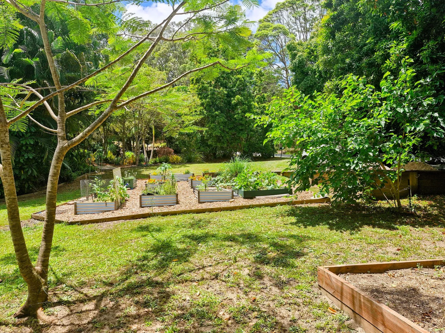 Additional image 4 of 279 DIDDILLIBAH ROAD, Diddillibah QLD 4559