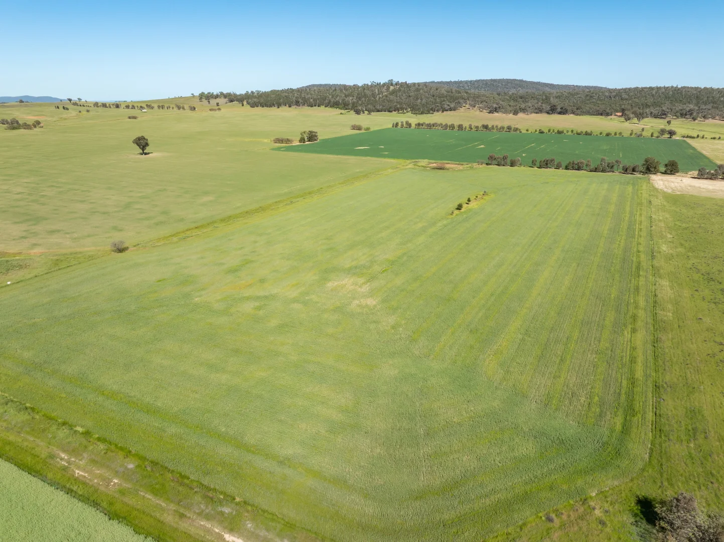 Additional image 18 of 92 Campbells Lane, Canowindra NSW 2804