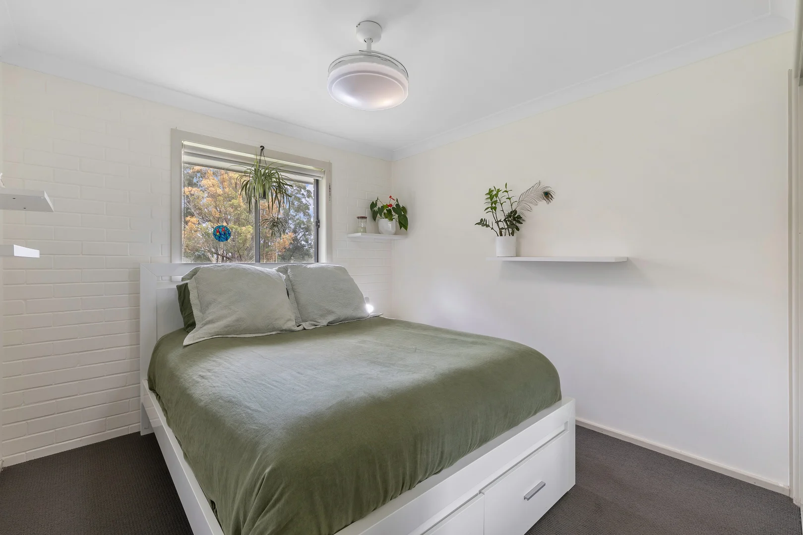 Additional image 28 of 212 Francis Street, Moruya NSW 2537