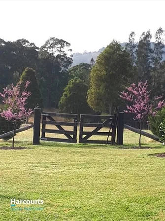 Additional image 20 of 1018 Willina Rd, Bunyah NSW 2429