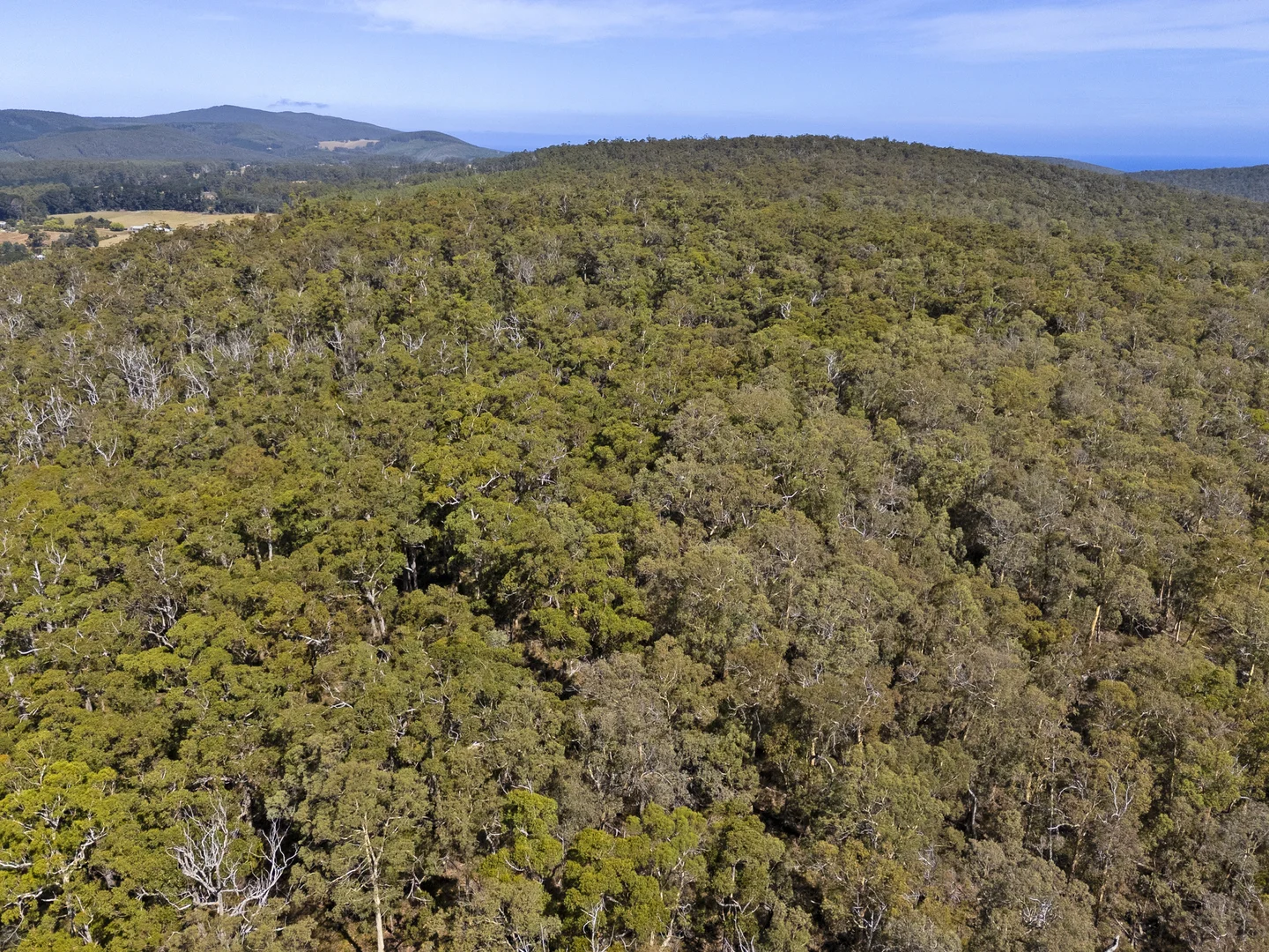 Additional image 23 of 2 and 3 White Beach Road, White Beach TAS 7184