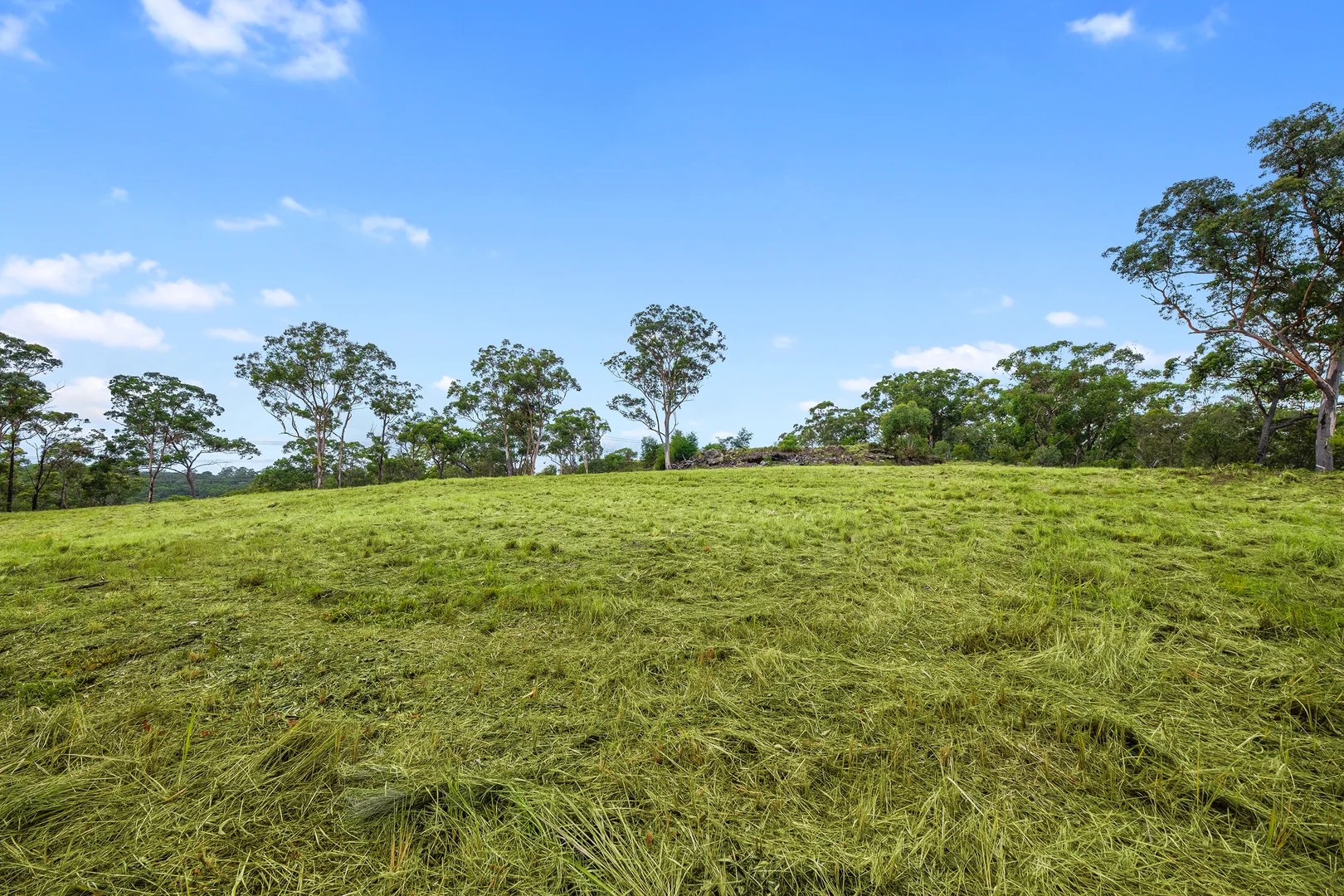 Additional image 7 of 173 Gallaghers Road, South Maroota NSW 2756