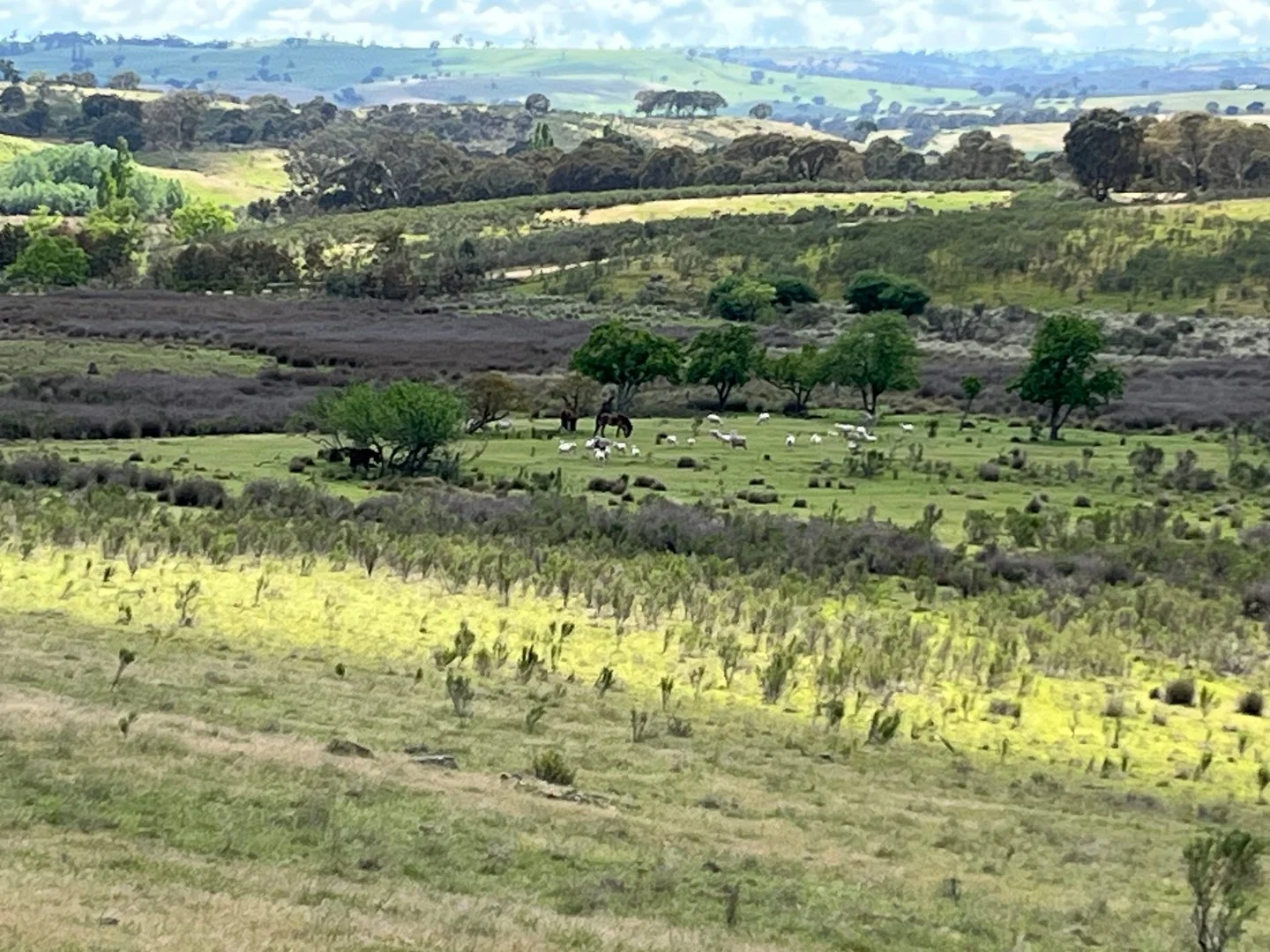 Additional image 11 of 2008 Kiowarrah Road, Bevendale NSW 2581